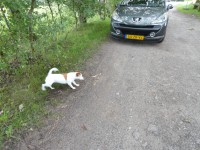 /album/fotogalerij/camera-230-jpg/